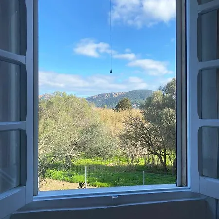 Guest house Uliveto With Kitchen & Garden