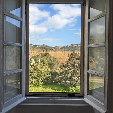 Guest house Uliveto With Kitchen & Garden Chia