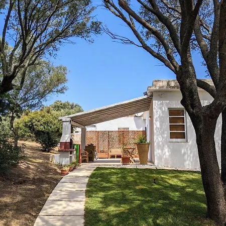 Uliveto With Kitchen & Garden Guest house