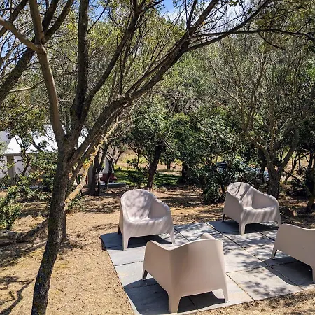Guest house Uliveto With Kitchen & Garden Chia