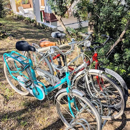 Πανσιόν Uliveto Chia