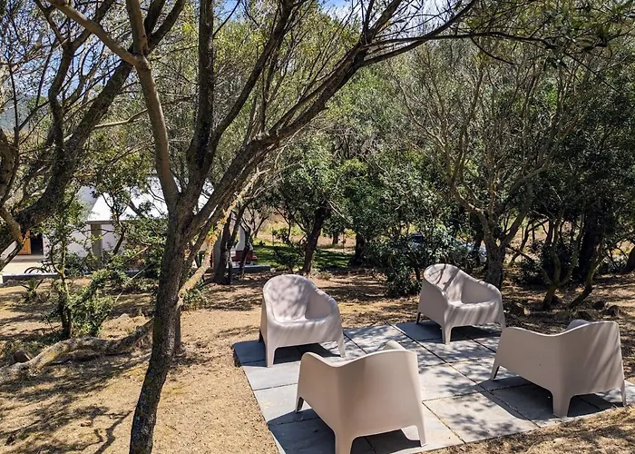 بيت ضيافة Uliveto شيا