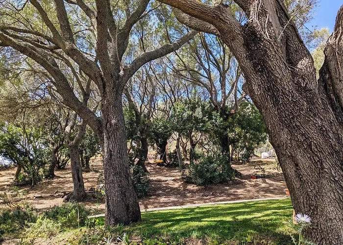 بيت ضيافة Uliveto