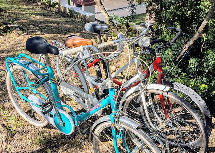 بيت ضيافة Uliveto شيا