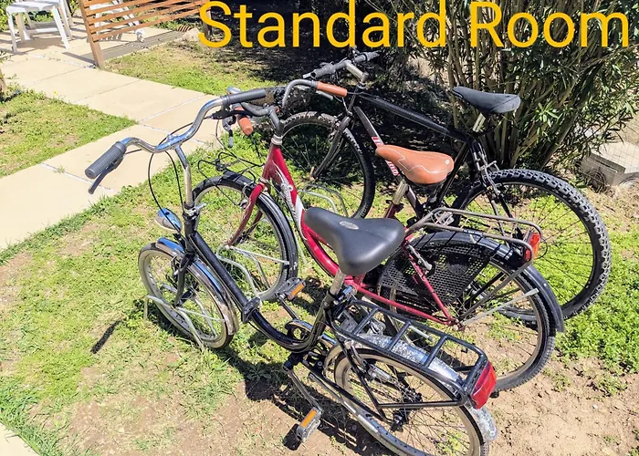 بيت ضيافة Uliveto